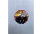 Elma Chips 2004 Tazo DC Batman n�6